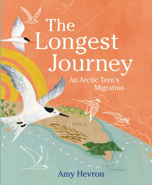 The Longest Journey: An Arctic Tern's Migration