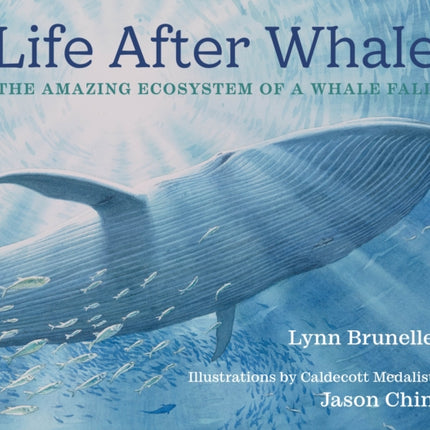 Life After Whale