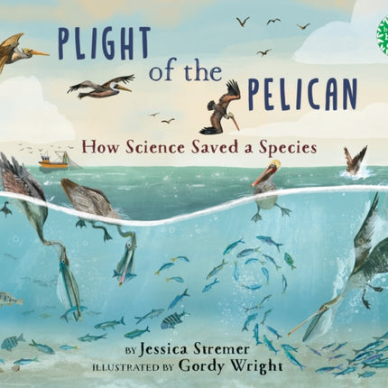 Plight of the Pelican