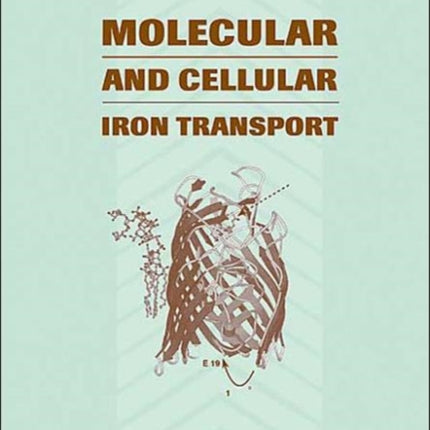 Molecular and Cellular Iron Transport