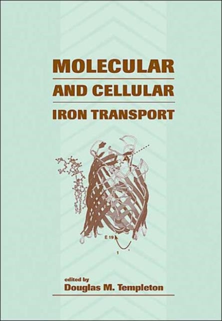 Molecular and Cellular Iron Transport