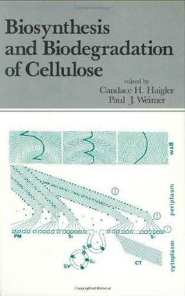 Biosynthesis and Biodegradation of Cellulose