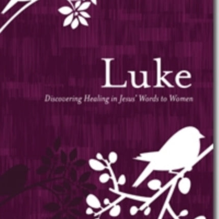 Luke  Discovering Healing in Jesus Words to Women