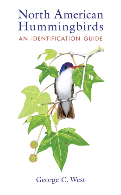 North American Hummingbirds  An Identification Guide