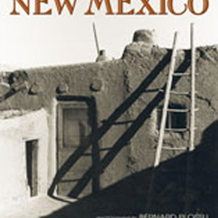 Bernard Plossu's New Mexico