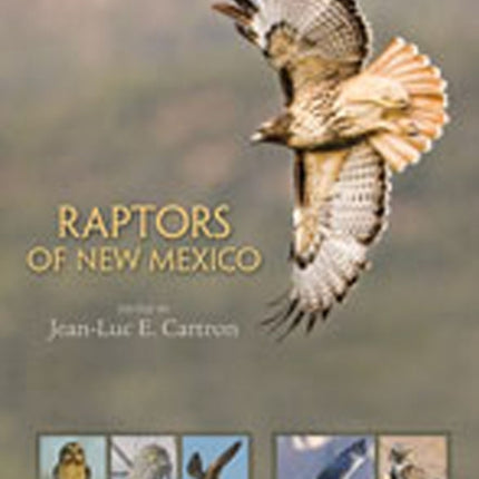 Raptors of New Mexico