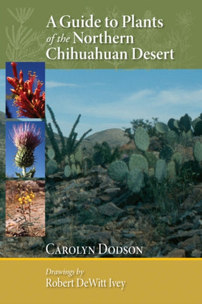 A Guide to Plants of the Northern Chihuahuan