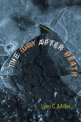 The Day after Death  A Novel