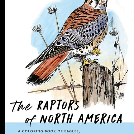 The Raptors of North America  A Coloring Book of