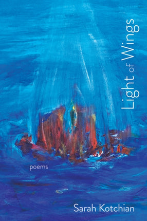 Light of Wings  Poems