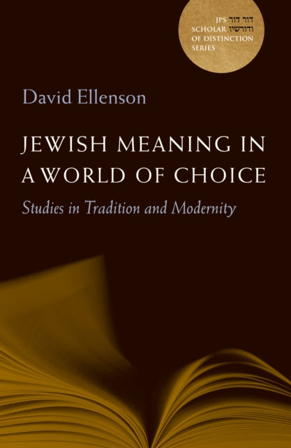 Jewish Meaning in a World of Choice: Studies in Tradition and Modernity