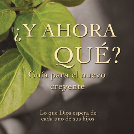 Y Ahora Que