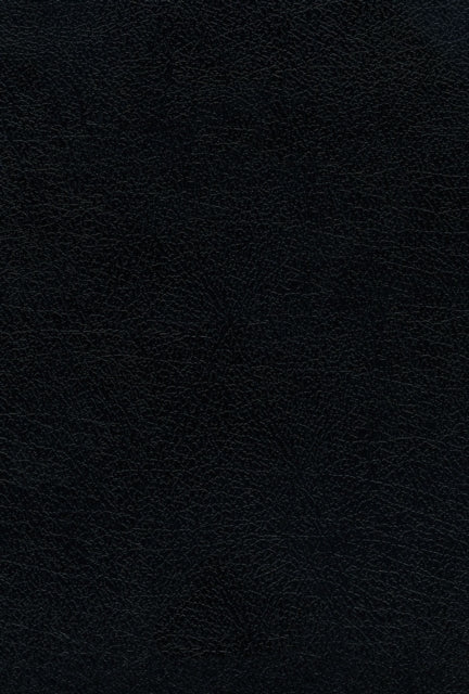 Rvr60 Santa Biblia Ultrafina Letra Grande Piel