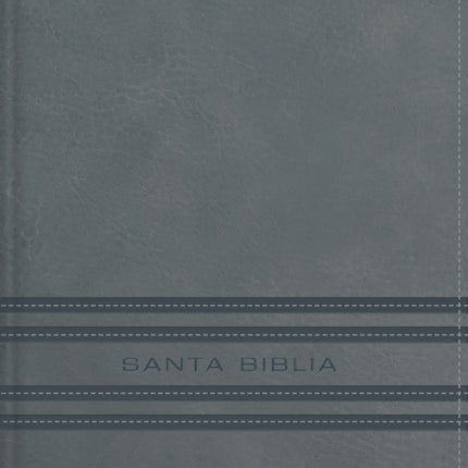 Nbla Santa Biblia Edición Versificada Tamaño Bolsillo Leathersoft Gris Palabras de Jesús En Rojo Comfort Print