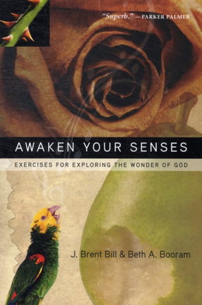 Awaken Your Senses  Exercises for Exploring the