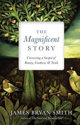 The Magnificent Story  Uncovering a Gospel of Beauty Goodness and Truth