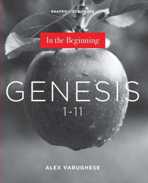 Genesis 1-11: In the Beginning