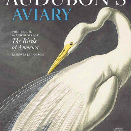Audubons Aviary the Original Watercolors for the
