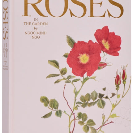 Roses in the Garden