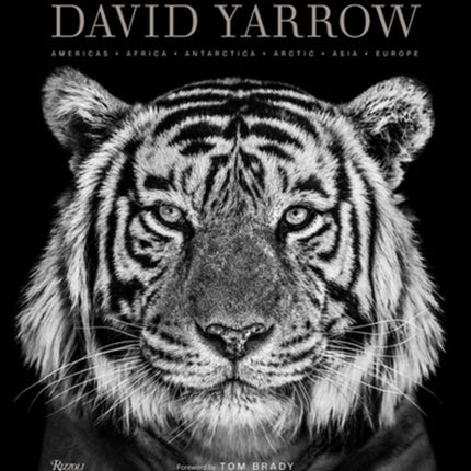 David Yarrow Photography: Americas Africa Antarctica Arctic Asia Europe