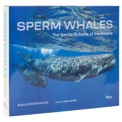 Sperm Whales: The Gentle Goliaths of the Ocean