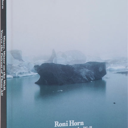 Roni Horn
