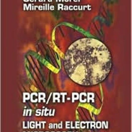 PCR/RT- PCR in situ: Light and Electron Microscopy