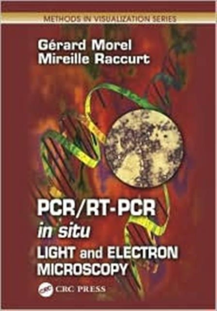 PCR/RT- PCR in situ: Light and Electron Microscopy