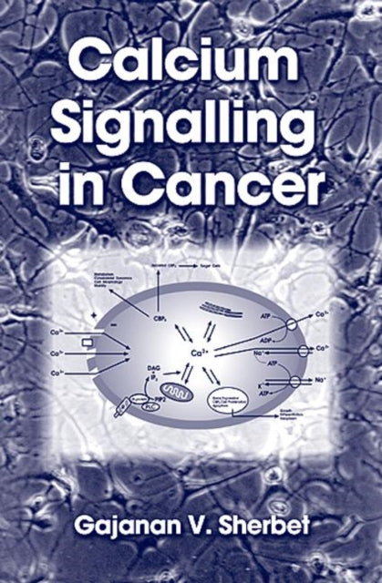 Calcium Signalling in Cancer