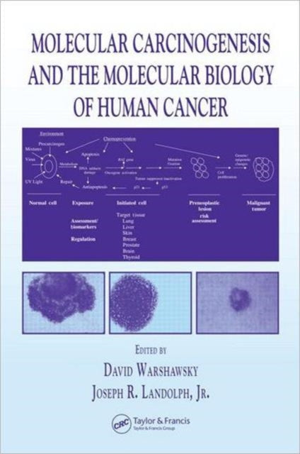 Molecular Carcinogenesis and the Molecular Biology of Human Cancer