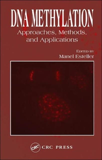 DNA Methylation: Approaches, Methods, and Applications