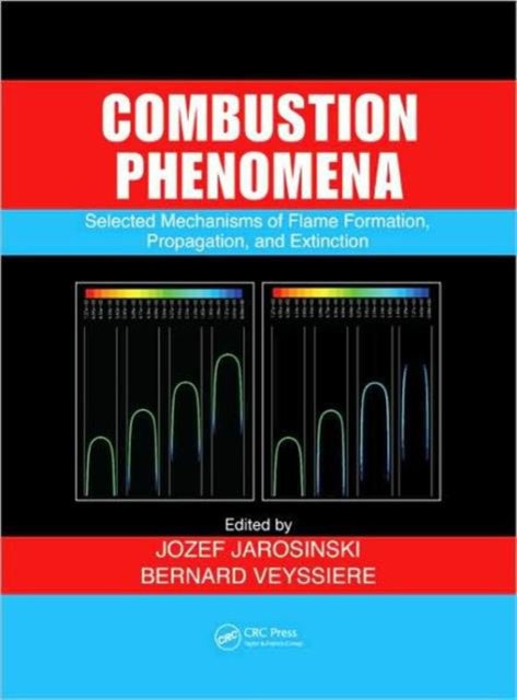 Combustion Phenomena: Selected Mechanisms of Flame Formation, Propagation and Extinction