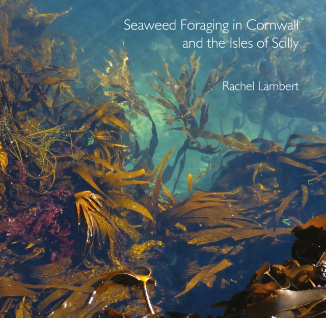 Seaweed Foraging in Cornwall and the Isles of