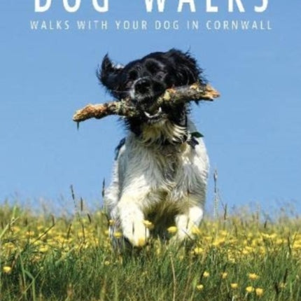 Dog Walks in Cornwall