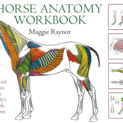 Horse Anatomy Workbook: A Learning Aid for Students Based on Peter Goody's Classic Work, Horse Anatomy