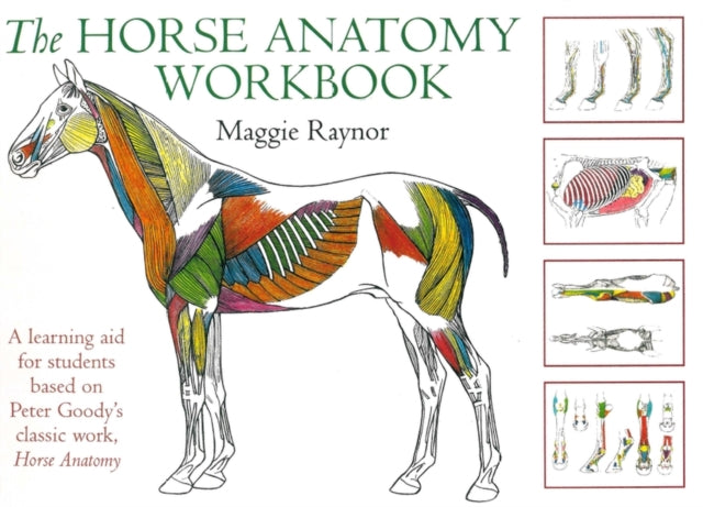 Horse Anatomy Workbook: A Learning Aid for Students Based on Peter Goody's Classic Work, Horse Anatomy