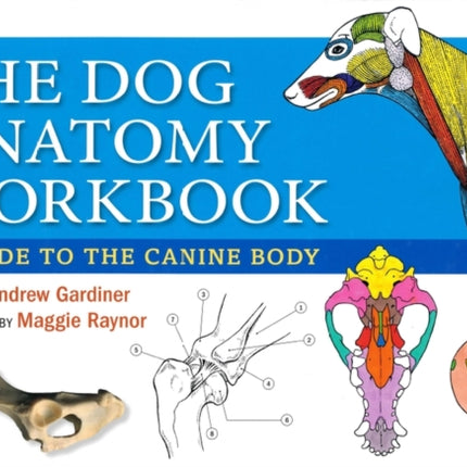 Dog Anatomy Workbook
