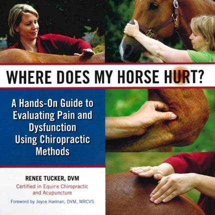 Where Does My Horse Hurt?: A Hands-On Guide to Evaluating Pain and Dysfunction Using Chiropratic Methods