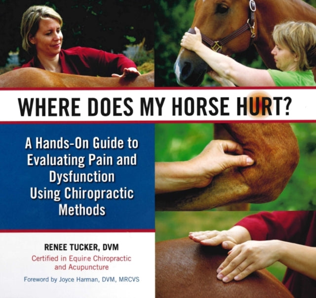 Where Does My Horse Hurt?: A Hands-On Guide to Evaluating Pain and Dysfunction Using Chiropratic Methods