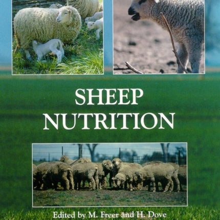 Sheep Nutrition