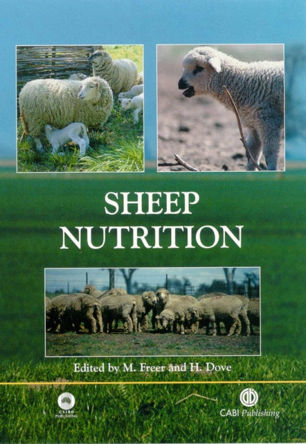 Sheep Nutrition