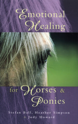 Emotional Healing For Horses  Ponies