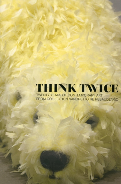 Think Twice: Twenty Years of Contemporary Art from Collection Sandretto Re Rebaudengo