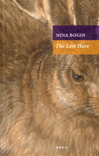 The Lost Hare