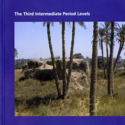 The Survey of Memphis: Pt. 3: Third Intermediate Period Levels