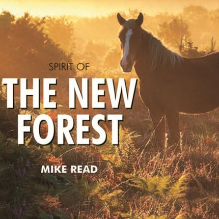 Spirit of the New Forest
