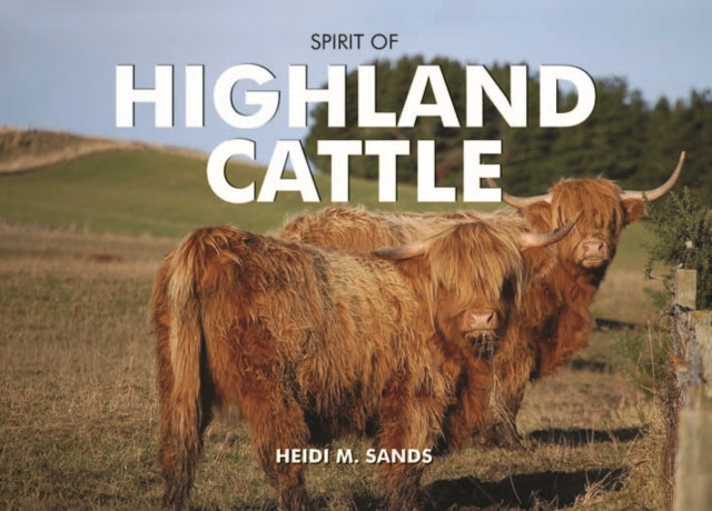 Spirit of Highland Cattle