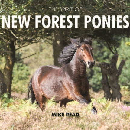 The Spirit of New Forest Ponies