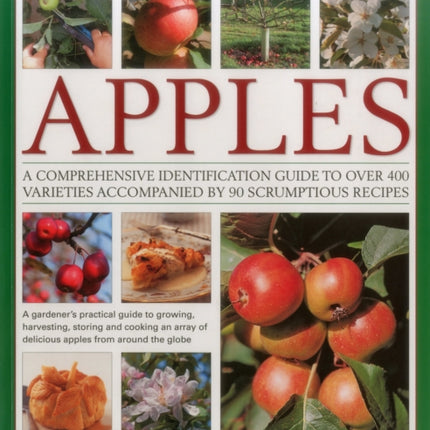 The Complete World Encyclopedia of Apples: A Comprehensive Identification Guide to Over 400 Varieties Accompanied by 95 Scrumptious Recipes