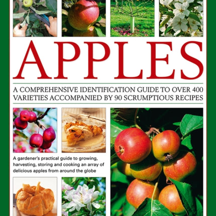 The Complete World Encyclopedia of Apples